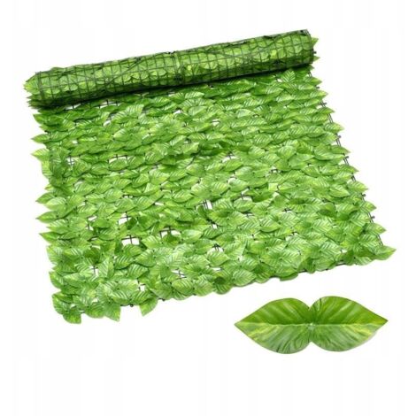 kentia palme goldfruchtpalme Goldfruchtpalme kaufen | Areca lutescens