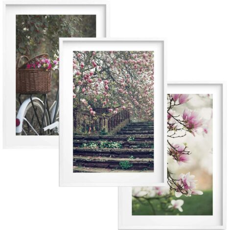 Bilder Poster für die Wand im Rahmen Blumen Dekoration für das Wohnzimmer Schlafzimmer 30x40