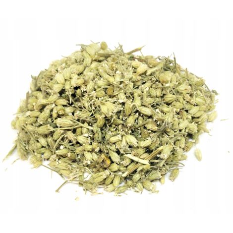 Schafgarbenblüte Schafgarbe 1 KG 100% natürlich