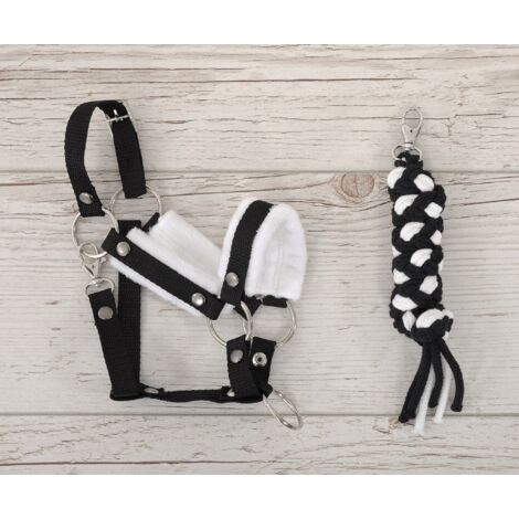 Halter für Pferde online kaufen - Hogsta Ridsport