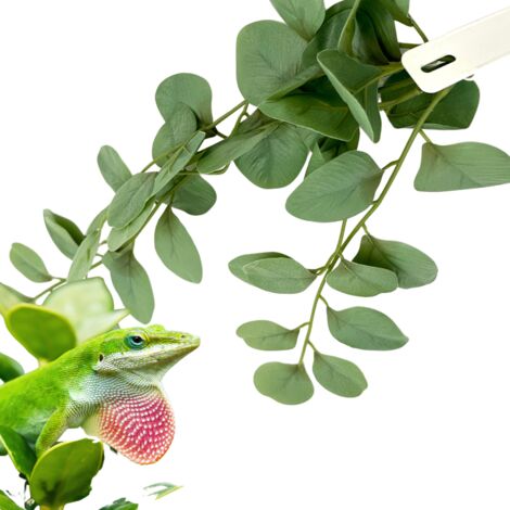 BioBush No5 künstliche tropische Pflanze für Terrarien Fitonia (1/5)