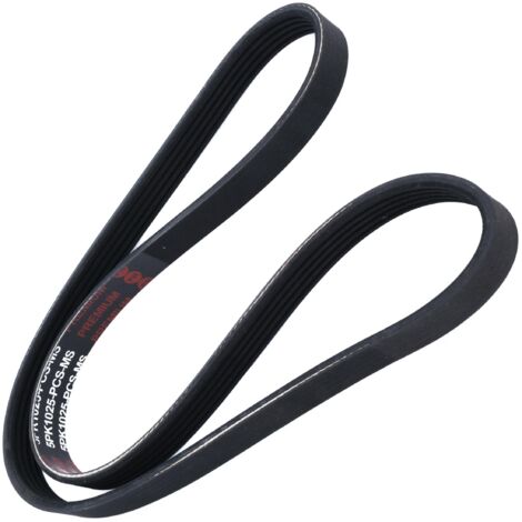 Keilrippenriemen PK 5PK1025 (1/2)