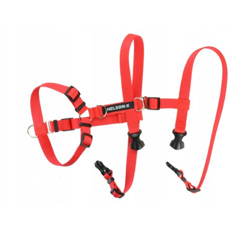 AUSBRUCHSCHUTZGURT EASY GUARD WALK NELSON-X M