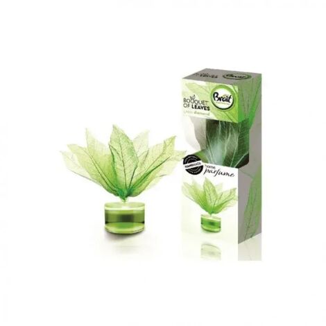 Brait 50 ml Bouquet aus duftenden, erfrischenden Blättern, Green Diamond /228