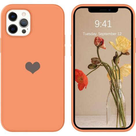 Hülle für iPhone 12 Pro Max 6.7' Orange Silikon Strong (1/5)