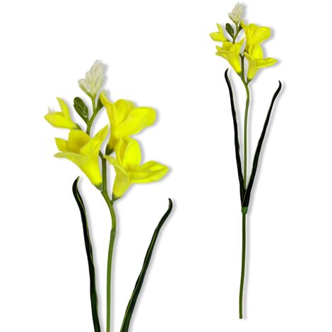 Zweig - Gelbe Schaumfreesie 59 cm (1/5)