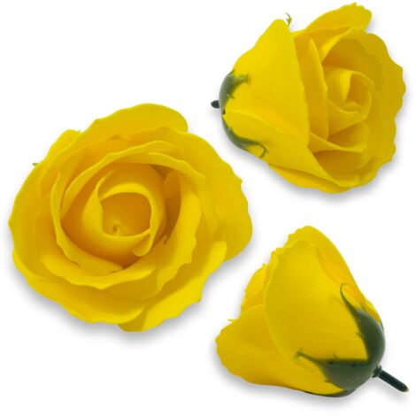 Gelbe Seifenrose (1/5)