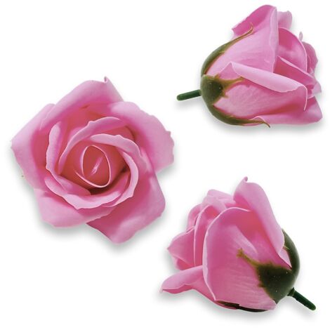 Rosa Seifenrose