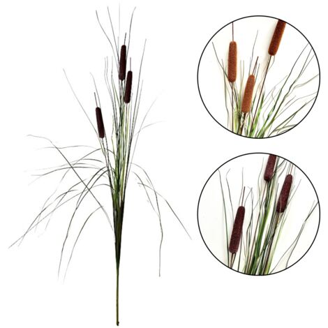 Gräserstrauß - Rohrkolbengras 125 cm, dunkelbraun (1/5)