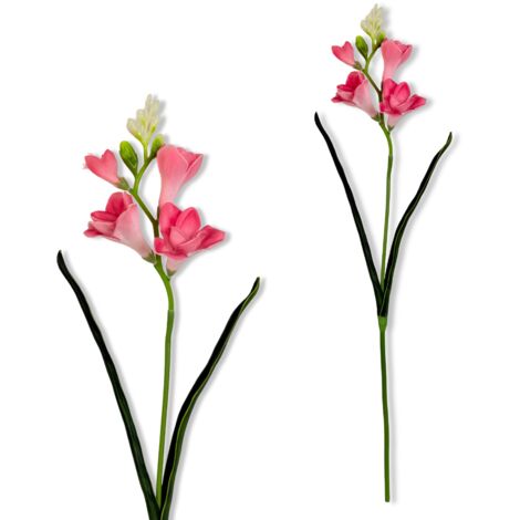 Zweig - Dunkelrosa Schaumfreesie 59 cm (1/5)