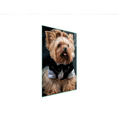 Glasschneidebrett 35x52 Hund