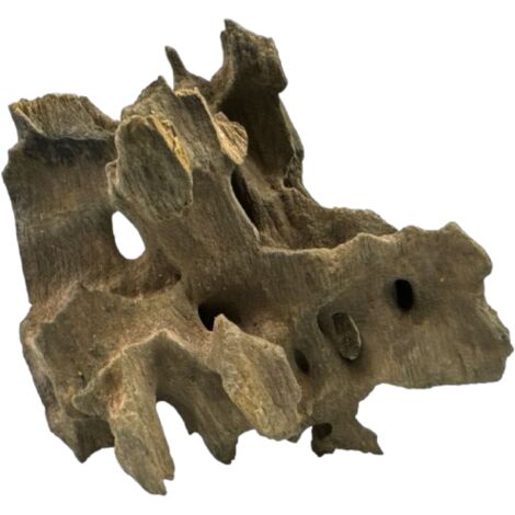 Drachen-Treibholz 10-20 cm