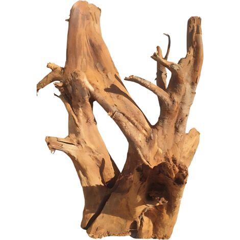 Mangrovenwurzel 40-50 cm