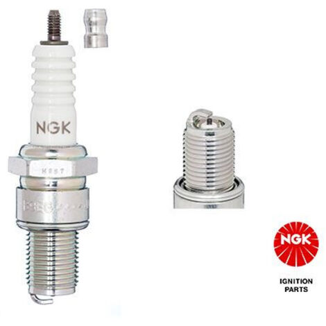 NGK Zündkerze B9EG (Code 3530) Rennsport