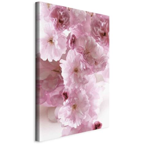 Bild – Floraler Glamour (1-teilig) – Blütenblätter in Rosatönen