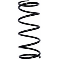 Eibach Originalfeder R11029