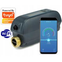 RTX TUYA WLAN-gesteuerter Hauswasserzähler Messzähler Kugelventil