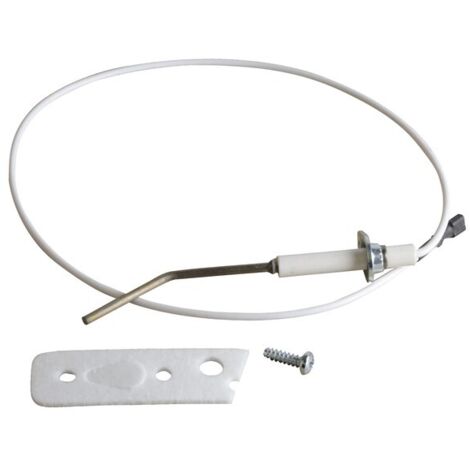 De Dietrich – Sonde d'ionisation complète avec joint – Sécurité électrique – Pour installations professionnelles – Emballage d'origine (1/3)