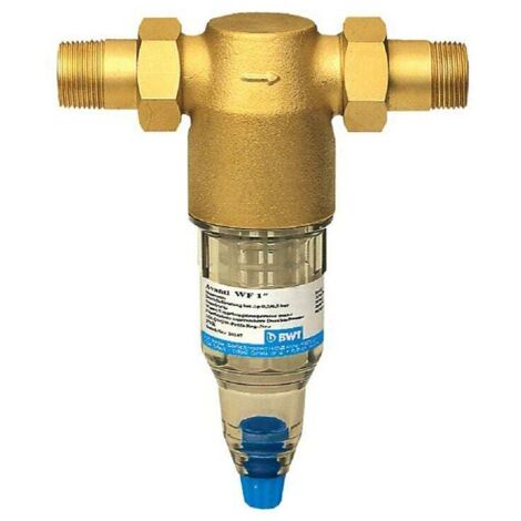 Filtre à tamis anti-impuretés Avanti WF DN 40 - BWT