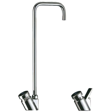 Delabie – Robinet col de cygne pour fontaine d'eau – Corps en laiton chromé – Débit ajustable – Fermeture instantanée – Garantie 10 ans