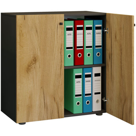 Ebuy24 – Cabine de bureau Lona 2 plis 70x74x40 cm – Raccords en métal de haute qualité – Étagère variable pour 14 dossiers – Corps en bois (1/3)