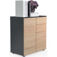 Commode et sideboard Dalosa H. 77 x L. 70 x P. 39cm Anthrazit / Honig-Eiche