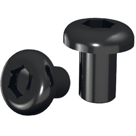990.076.00 VIS TBTI TORX T15 M4x4x6.2 D6 (pour fraises avec colt.) (1/3)
