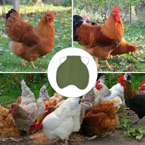 Selle per galline per galline, protezione per la schiena in