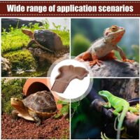 Ciotole Piccoli Rettili 2 Pezzi Teca Per Rettili Bacino Idrico Del Bacino Alimentare Reptile Growth Terrario Rettili Lunghe Dritte/Curve Per Criceti, Tarantole, Draghi Ciotole Per Tartarughe Di Terra