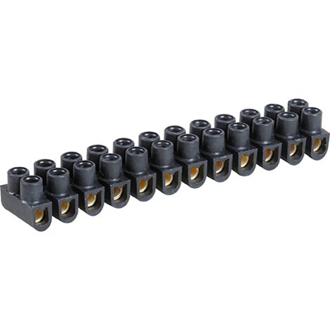 Doppio interruttore elettrico - Barretta in ottone nero con 12 morsetti a vite da 2,5 mm² - 24A