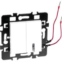 Interruttore combinato a due vie non luminoso + luminoso/testimone blu - ESPRIT