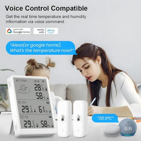 Jandra Capteur De Température Wifi Surveillance Thermomètre Sans