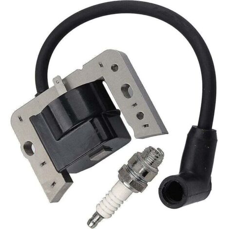 Bobine d'allumage 34443d pour Tecumseh 34443, 34443a 34443b 34443c Module à semi-conducteurs de bobine d'allumage-tecumseh Av520 Lh195 Oh195 Th139 Tv085 Tvm140 Tvxl840 V