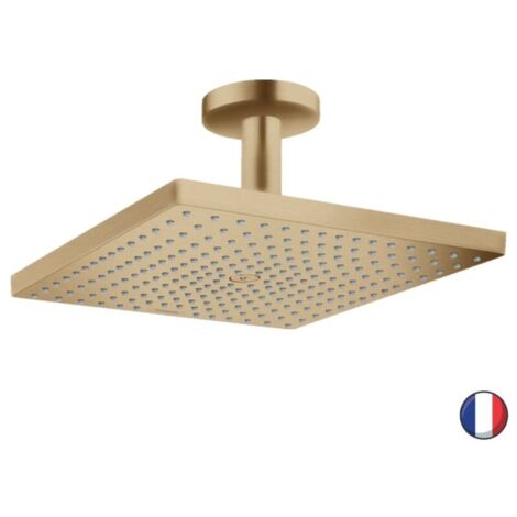 Hansgrohe Raindance E - Rociador de ducha E 300, 1jet, bronce cepillado 26250140