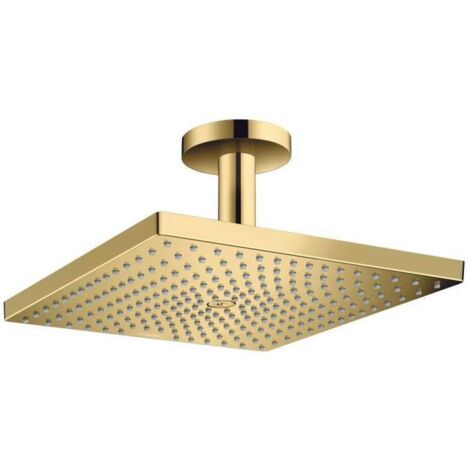 Hansgrohe Raindance E - Rociador de ducha E 300, 1jet, aspecto de oro pulido 26250990