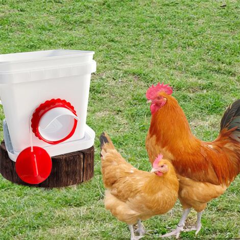 Pieces Chicken Feeder, Pest Control Chicken Feeder, Rainproof Automatic ...