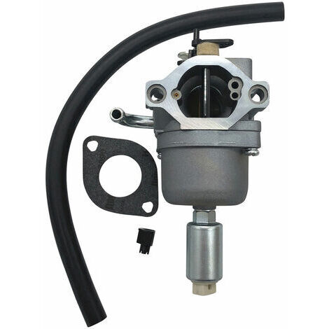 New carburetor 796109 591731 594593 (1/5)