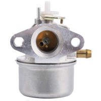 Gubeter Carburetor Carb, for B & S Engine, 799869, 792253, 497586, 499059, 494217