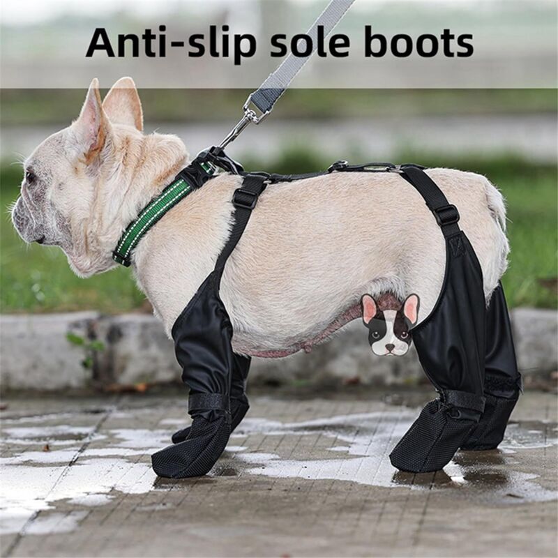Pantofole BAIKUTOUAN In Cotone Con Ritratto Di Bulldog Francese – Unisex, Suola Antiscivolo, Lavabili In Lavatrice, Per Casa E Ufficio