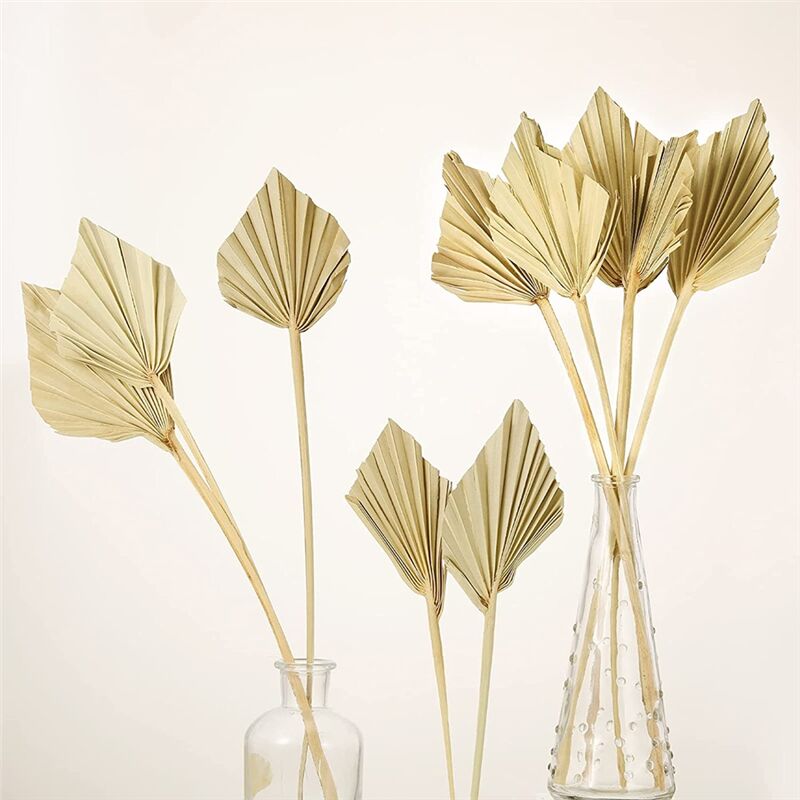 20 Stuzzicadenti Decorativi A Ombrello Di Carta, Forma Di Palma E Cocco Per Cocktail E Cupcake, Tema Tropicale - 4