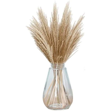 30 Steli Di Erba Della Pampa Seca Color Crema - 60 Cm, Artificiale, Soffice, Per Decorazioni Floreali, Matrimoni E Casa - 2