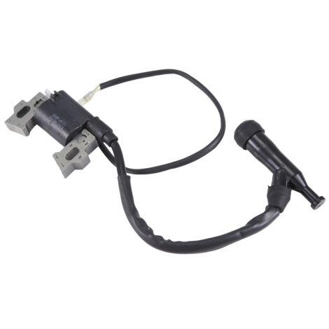 Bobina di Accensione del Motore a Benzina 188F, Sostituzione della Bobina del Gruppo Dell'accenditore del Generatore 5KW 8KW per GX240 GX270