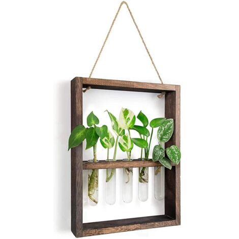Kuuleyn Fioriere in Vetro sospese a Parete, fioriere sospese a Parete terrario, Piante sospese Fiori Vaso in Vetro da Parete Contenitore per Acquario idroponico Decorazioni per la casa (Hexagon
