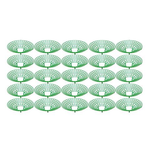 Iceyyyy - 12 Supporti Quadrati Per Fragole In Plastica, 24,9x19,6x9,7 Cm, Per Mantenere Pulite Le Bacche E Evitare Il Marciume - 5