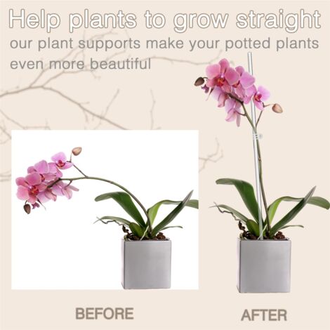 16 Supporti Per Piante In Acrilico 40 Cm – Bastoncini Trasparenti Per Orchidee, Fiori E Ortaggi – Robusti E Riutilizzabili - 2