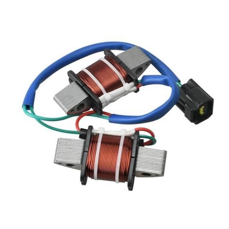 Bobina Illuminazione Fuoribordo 25HP 30HP per Motori 2