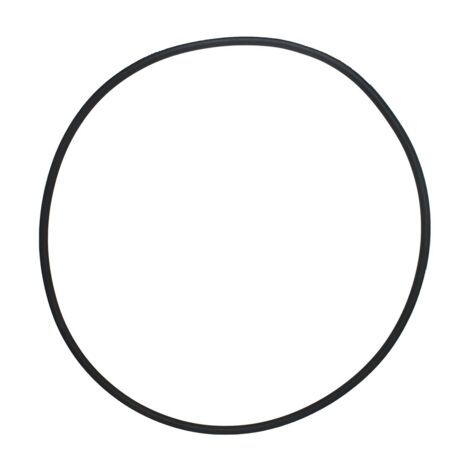 Guarnizione O-Ring E Morsetto Serbatoio Per Pompa Filtro Piscina Intex 11379