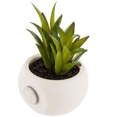 Fittonia artificiale JAMIRO su stelo, verde-bianco, 35cm - Piante artificiali