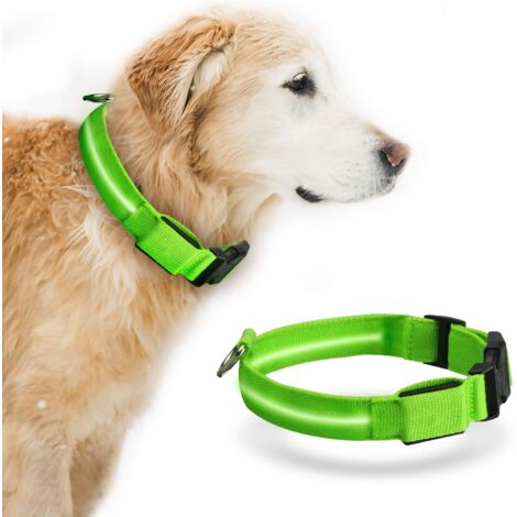 Collier pour Chien LED Collier pour Chien Lumineux Rechargeable USB avec Collier Clignotant Rechargeable et étanche L (1/5)