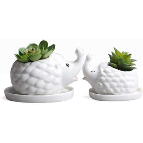 AIDUCHO Pot De Fleurs En Céramique Blanc Pour Plantes Succulentes En Forme De Hérisson, Pot De Fleurs, Pot Mignon Pour Cactus, Plantes Aériennes (1/5)